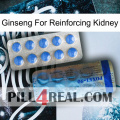 Ginseng For Reinforcing Kidney 40